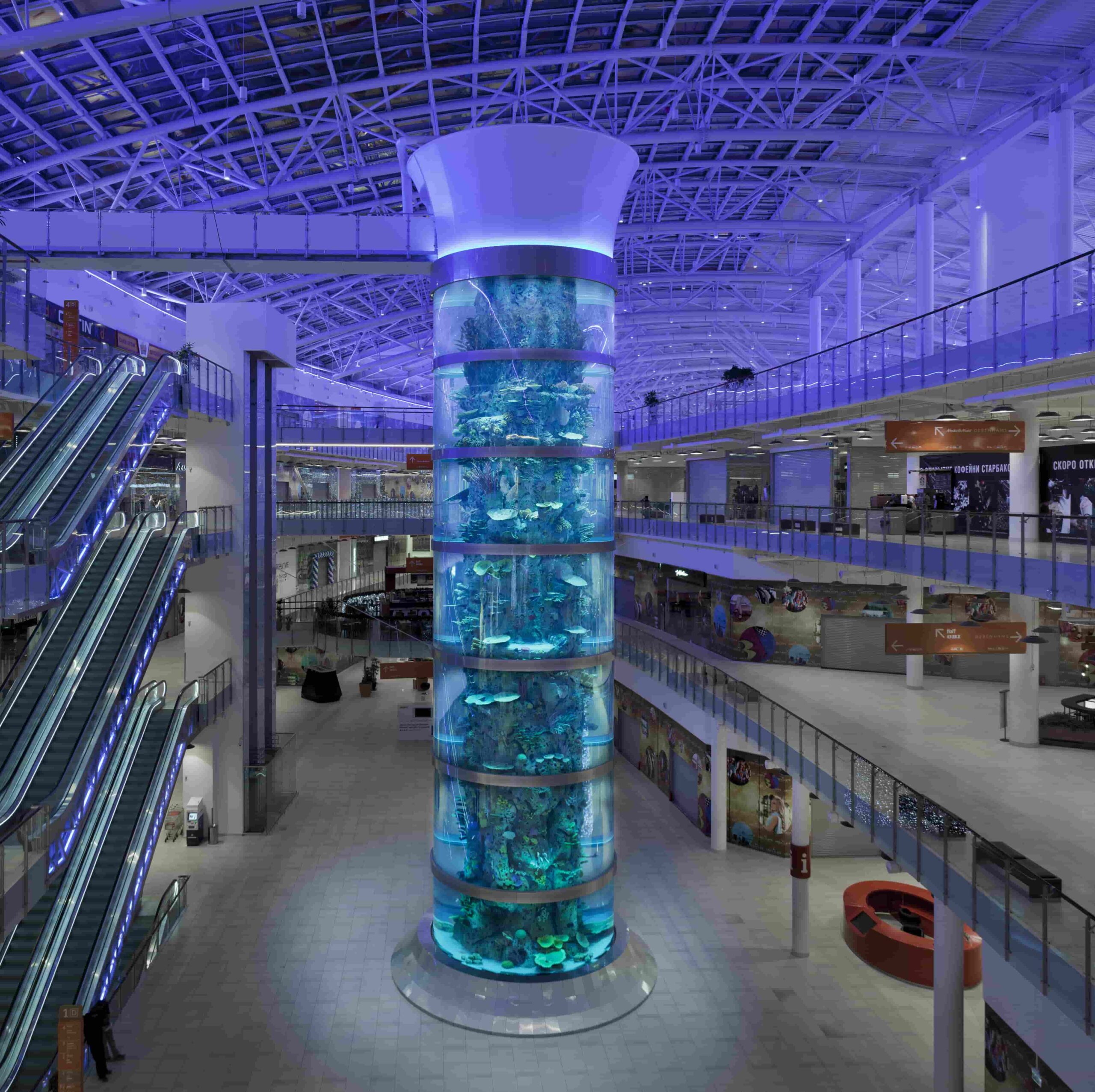 Cylinder Aquariums ICM Corp Aquatic Design Experts