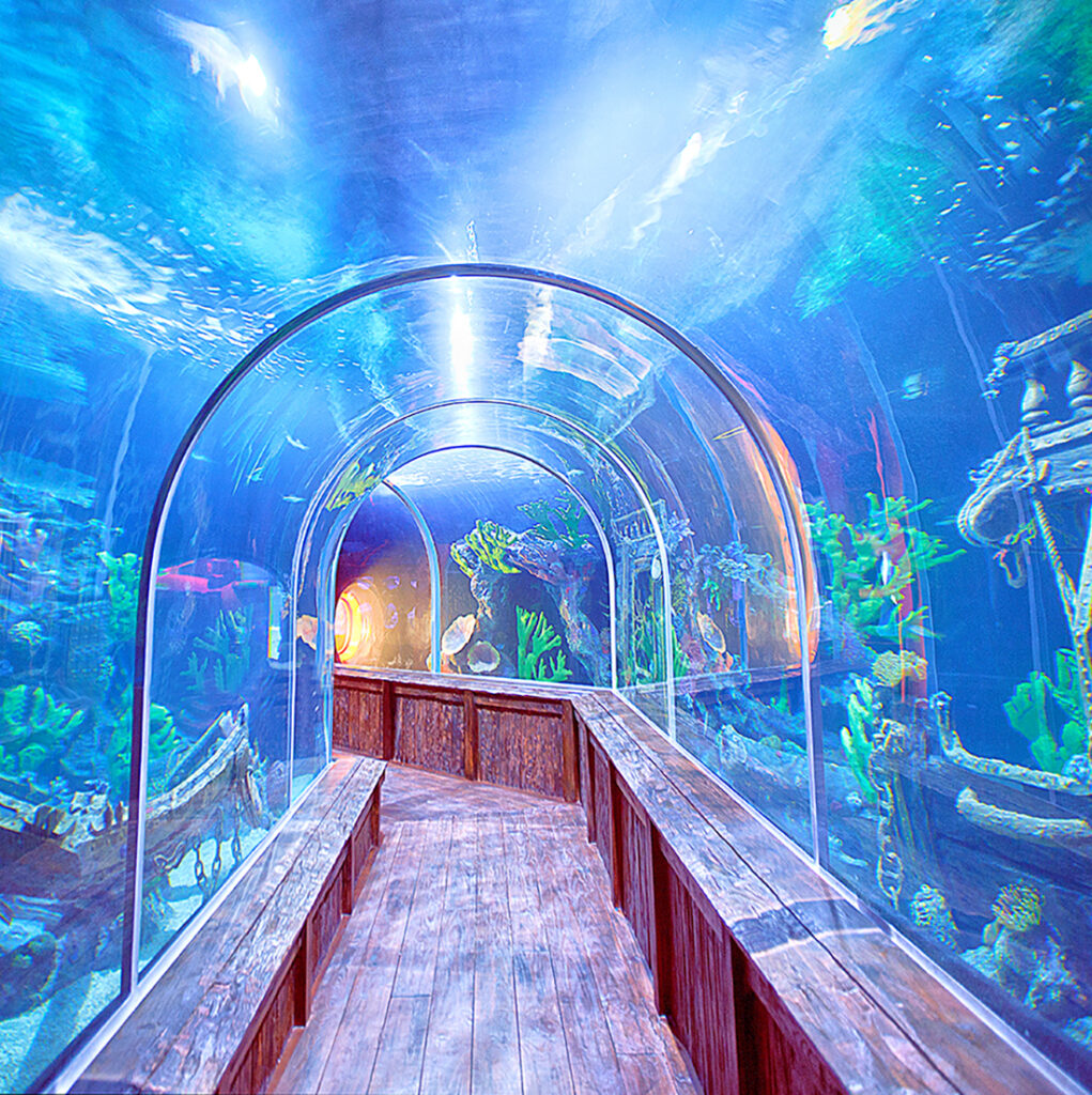 Shark Tunnel AquaMundo