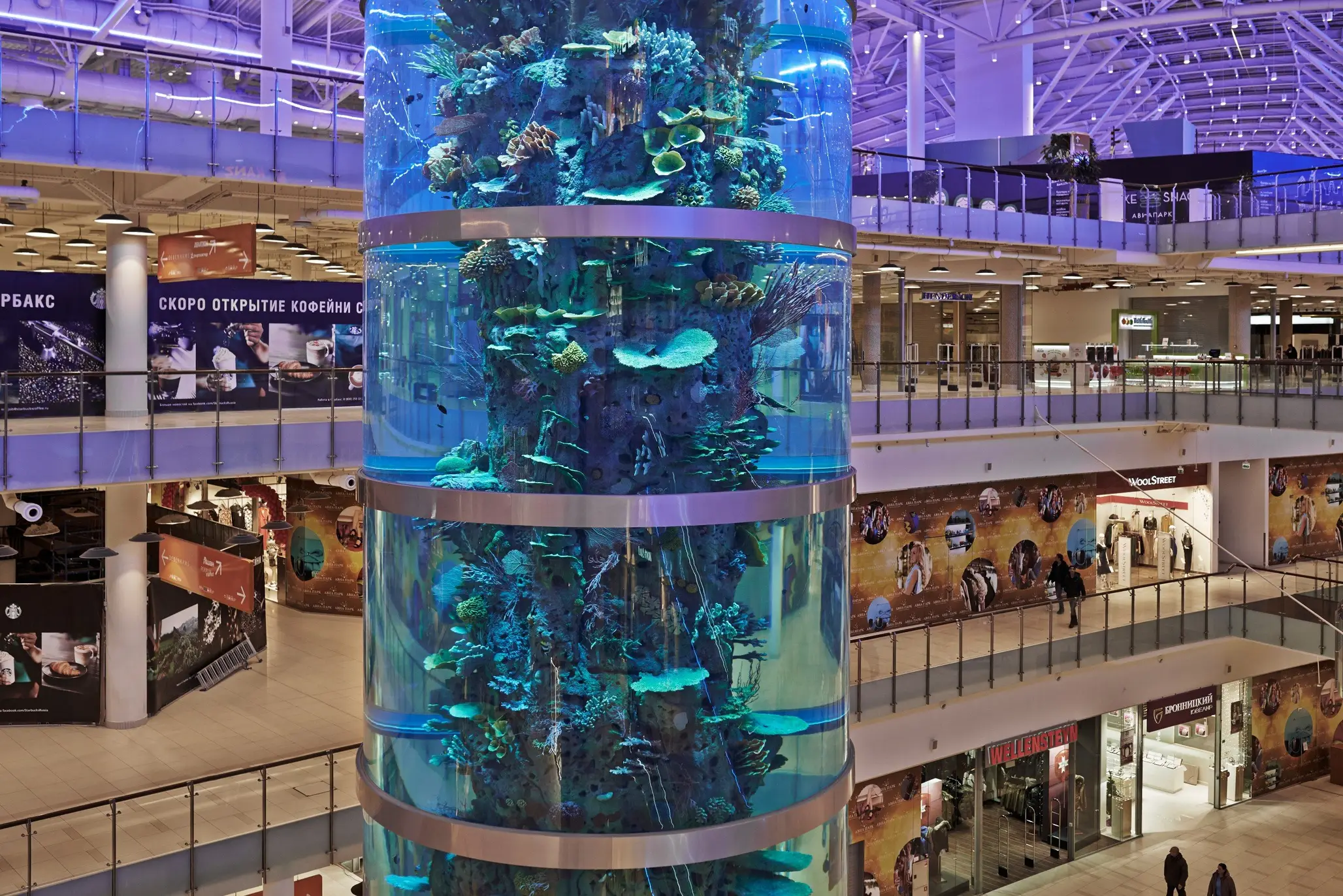 Navigating Depths And Heights Icm S Extraordinary Aquarium Project At