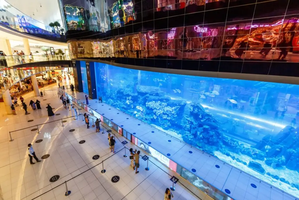 Dubai Mall Aquarium Luxury Shopping Center in the United Arab Emirates