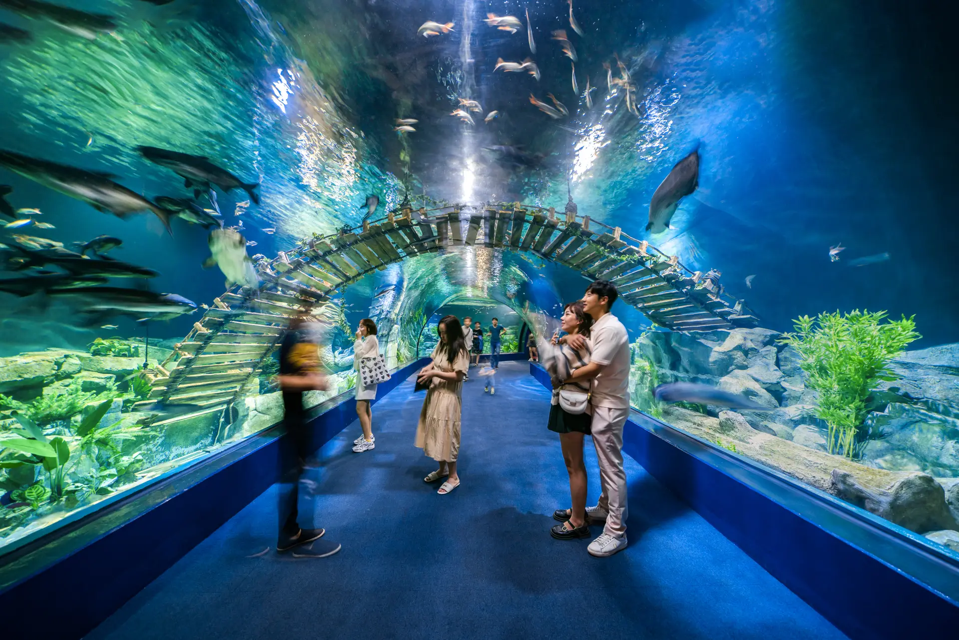 Public Aquarium - Hanoi