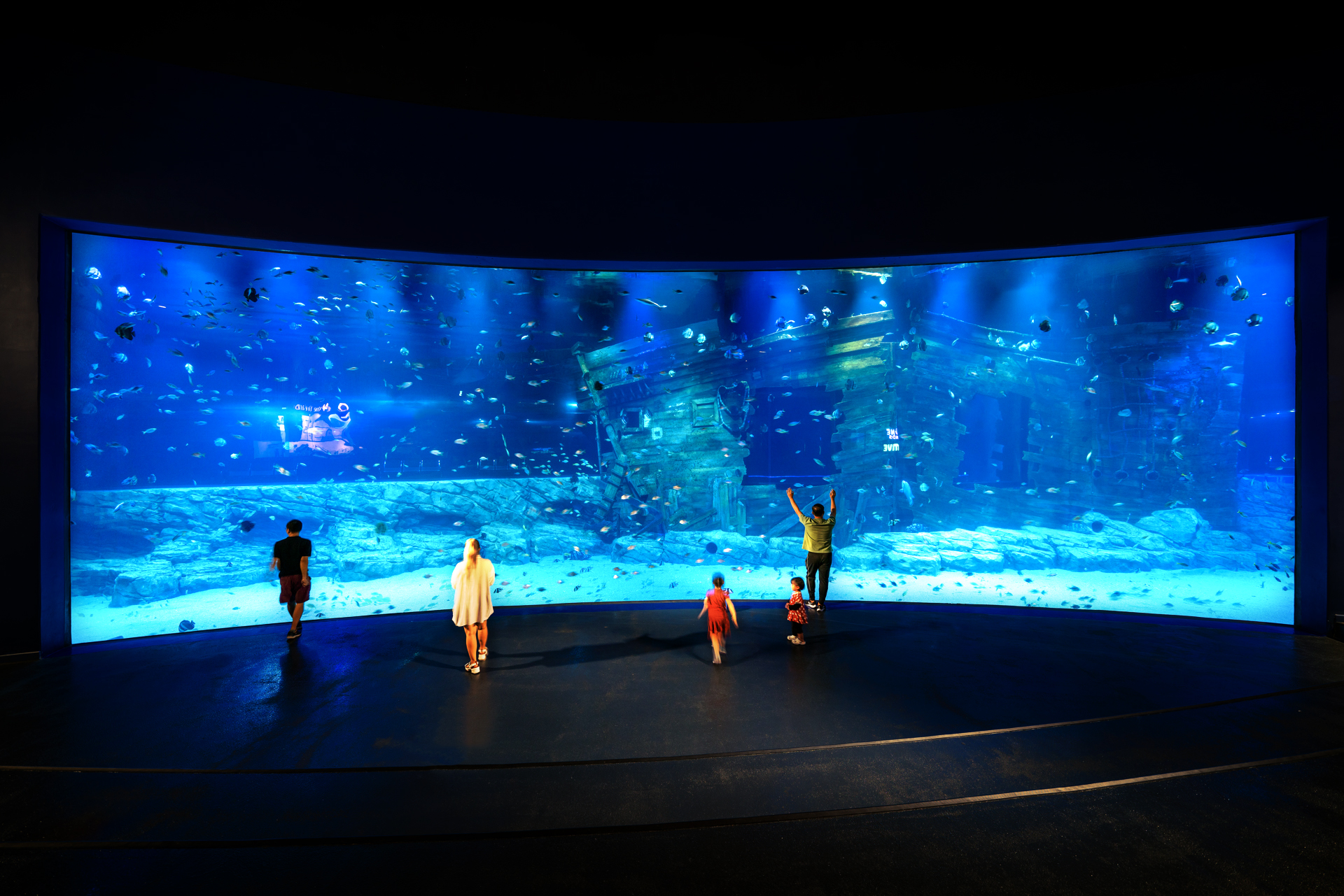Photo inspiration: Fresh Look at Lotte World Aquarium Hanoi The Oceanic Symphony
