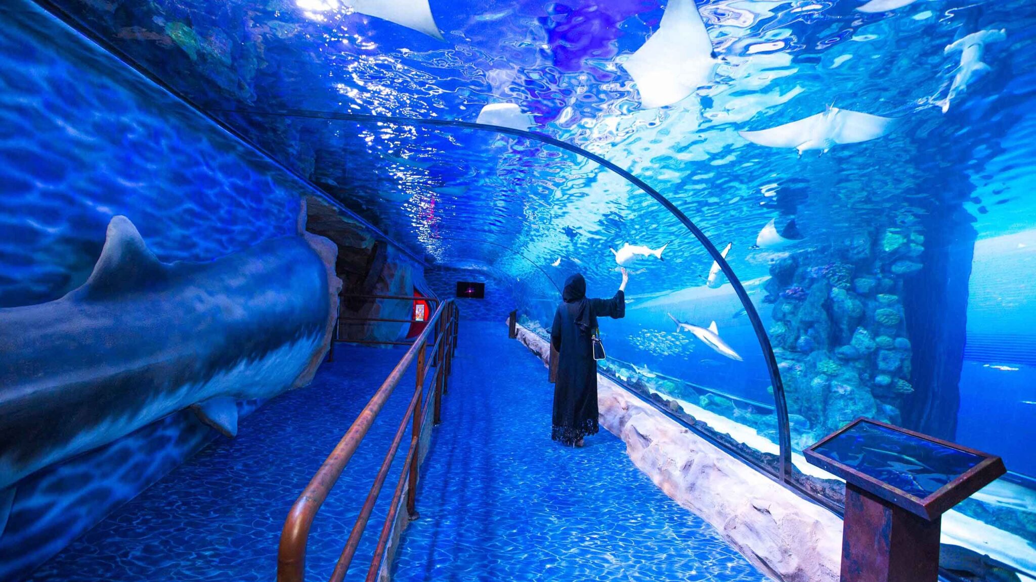 Avoiding Water Leaks: The Biggest Concern for Large Aquariums