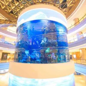 Oceania Mall Cylinder