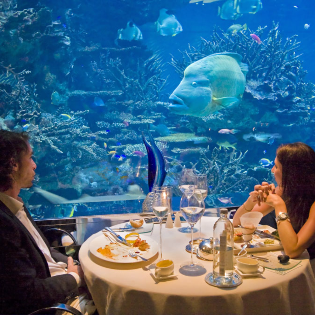 Aquariums for Hospitality: Innovative Design Ideas for Hospitality Spaces