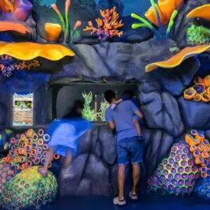 Are Aquariums Ethical? Understanding the Debate