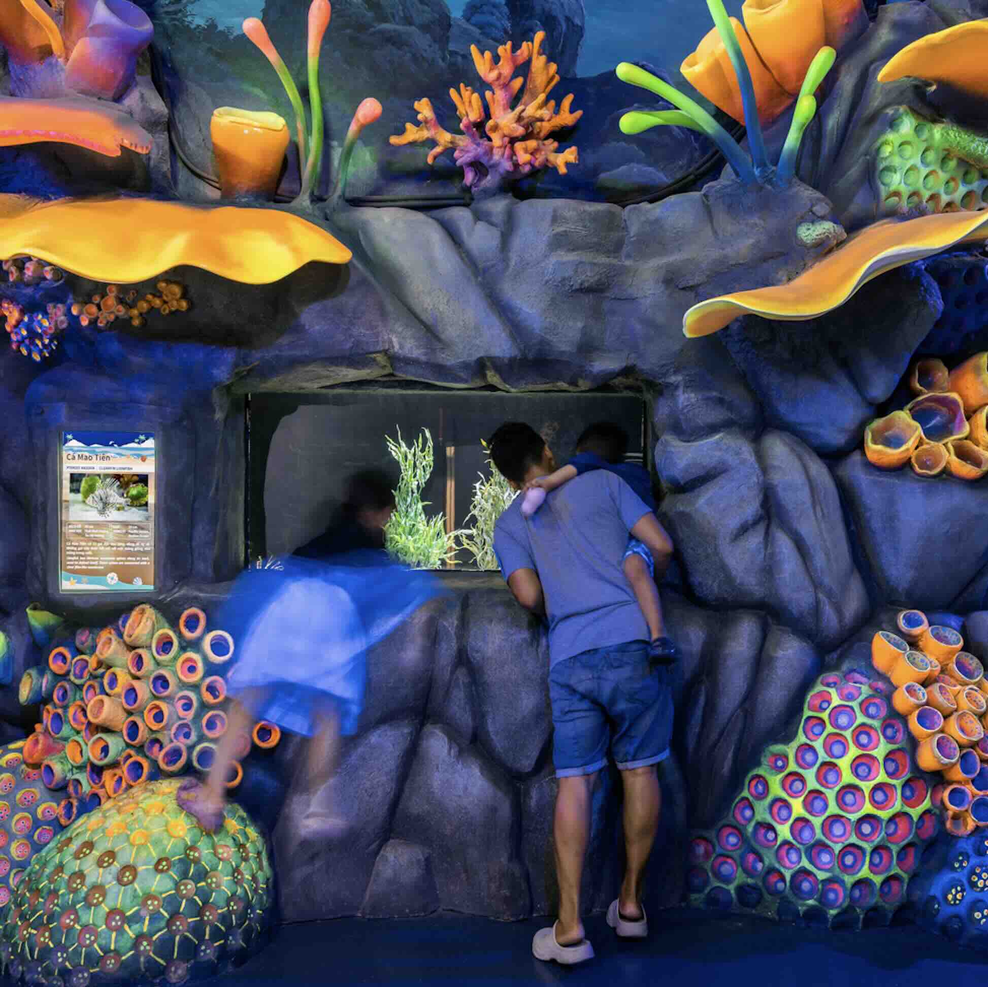 Are Aquariums Ethical? Understanding the Debate