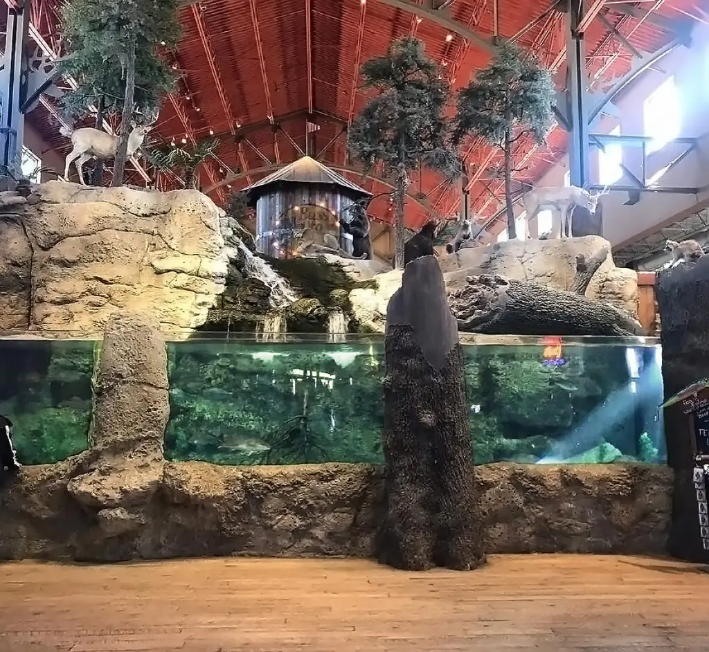 Bass-Pro-Shops 04