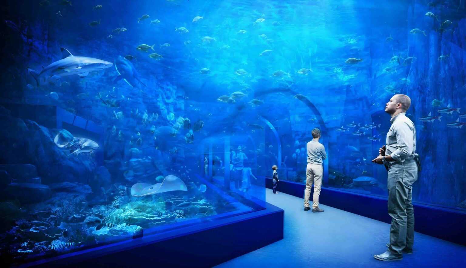 Main Tank - Aqua Mall Aquarium at Morocco Mall