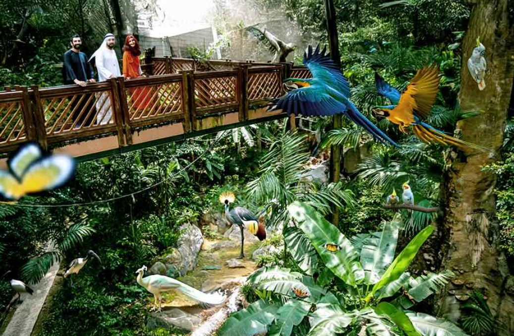 3. PAP Aviary 3. PAP Aviary