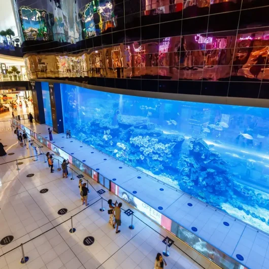 Dubai Mall Aquarium Luxury Shopping Center in the United Arab Emirates