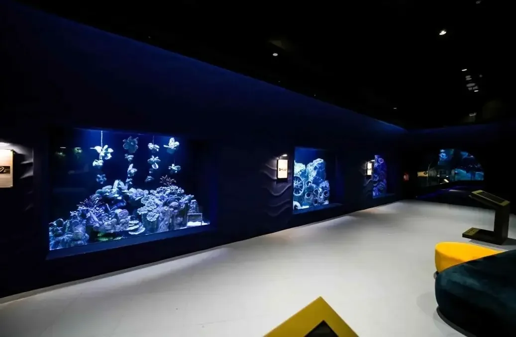 Hamad Port Aquarium Doha 1