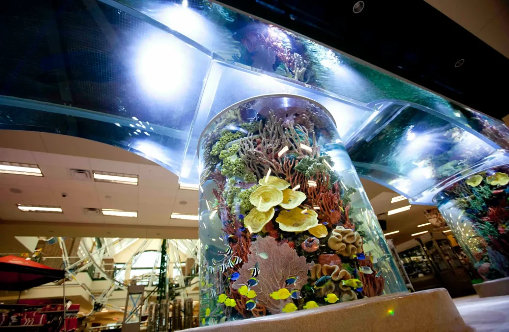 Scheels sports aquarium