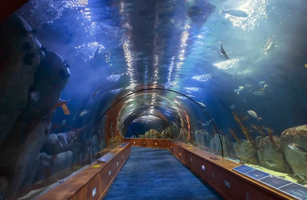 Underwater tunnel in oceanographical Park