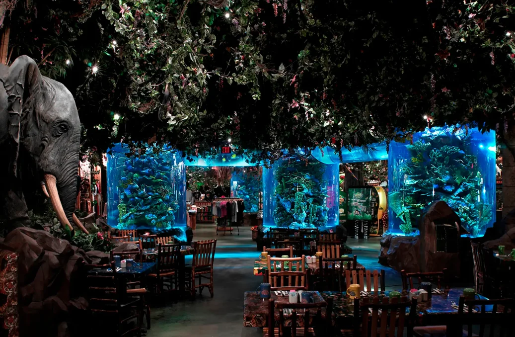 rainforest cafe aquarium