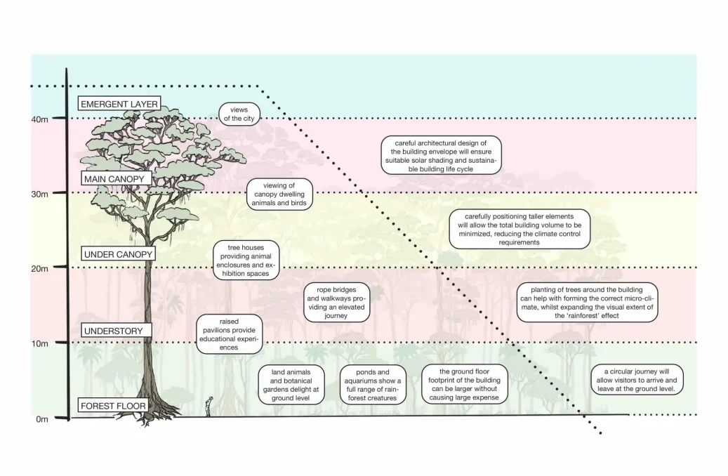 Rainforest Section Layers Paradise