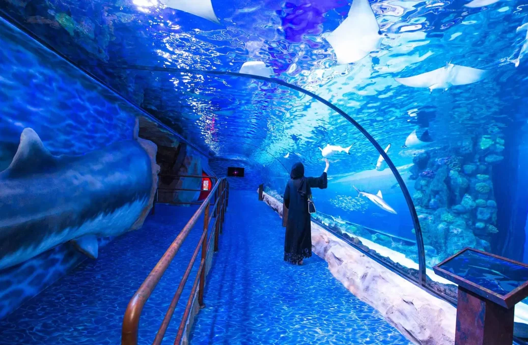 Avoiding Water Leaks: The Biggest Concern for Large Aquariums