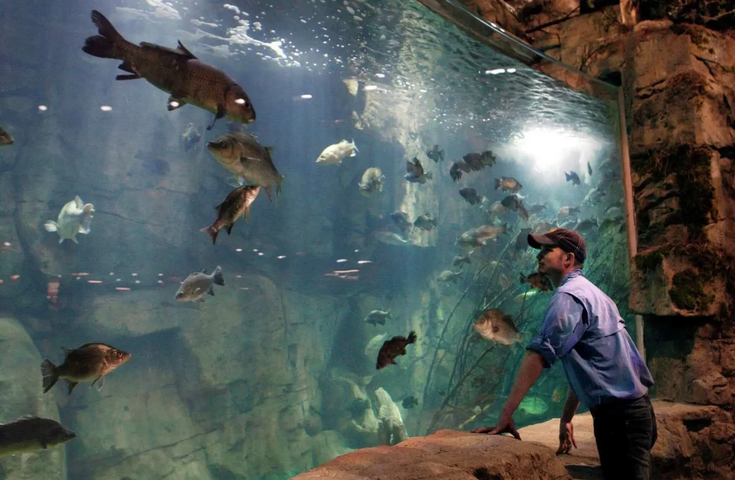 Bass Pro Shops Aquarium Unique Retail Experience Icm